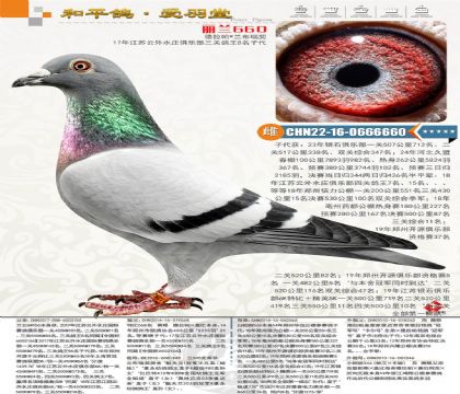 ����������ֱŮ��ƽ݅�����������m��������������˹