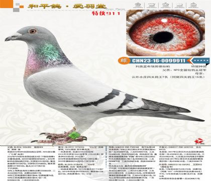 ���mȫ�������ٶ�������܊�����أ�������ˮ�f����7λ�����Ӵ���