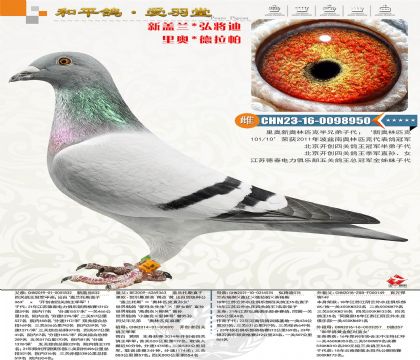 ���W�w�m��˹��˹Ѫϵ���´����P(gu��n)��������܊ȫ��