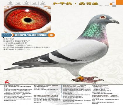 �ہ��������W�����m����ȫ��������܊���WԪС�㣩�Ӵ�