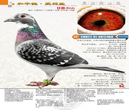 ���W��������ĸ�H�����������ķN�ƣ�����455��ֱŮ