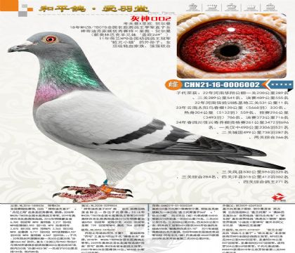 ����Ͽ˼�������W��ȫ���L���x������܊���W��ƥ�˰���