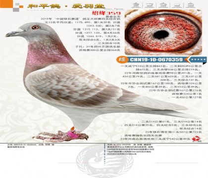 B108-CHN2019-10-0670359