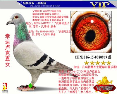 母亲;幸运卢克直女