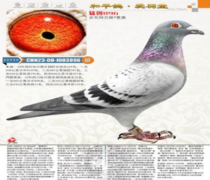 �Ĵ����d���P(gu��n)����249��ͬ�C���P(gu��n)��܊���P(gu��n)����25�����mū���W