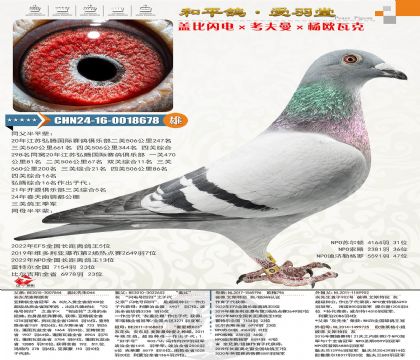 19-CHN2024-16-0018678