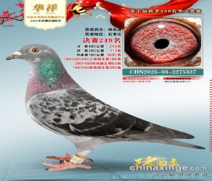 ���鹫�����249��ĸ