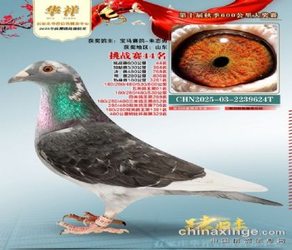 ���鹫����ս��44��ĸ