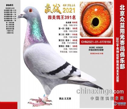 北京眾益陽光賽鴿俱樂部四關(guān)綜合391名 雄