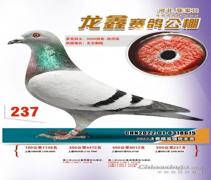 張家口龍?chǎng)钨慀澒铮ù笈铮?00公里決賽237名 雄