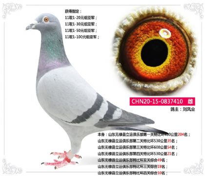 山東無棣縣立運(yùn)俱樂部特比環(huán)四關(guān)綜合10名 雌