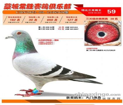 河北藁城市常勝俱樂部三關(guān)綜合59名 雄