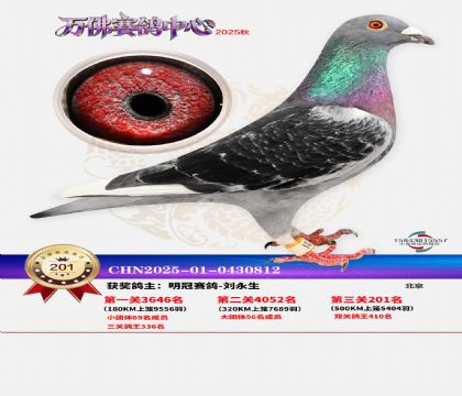 �����f��Qِ201��