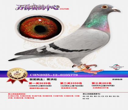 �����f��Qِ202��