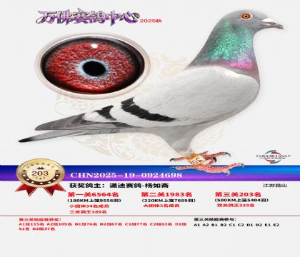 �����f��Qِ203��