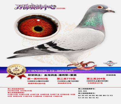 �����f��Qِ204��