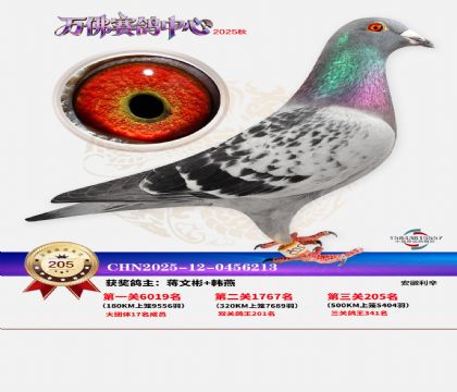 �����f��Qِ205��