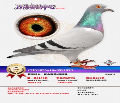 �����f��Qِ206��