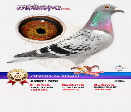 �����f��Qِ207��