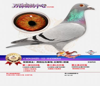 �����f��Qِ209��