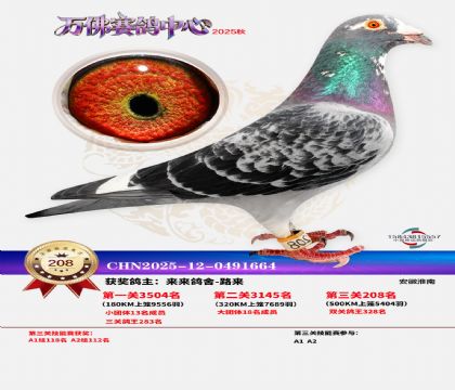 �����f��Qِ208��