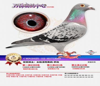 �����f��Qِ210��