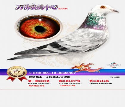 �����f��Qِ212��