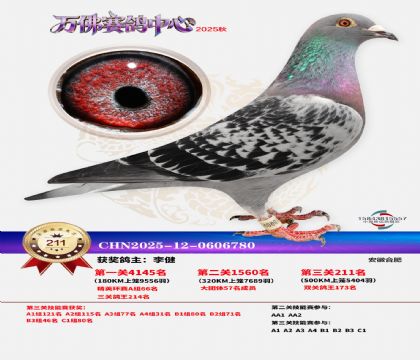 �����f��Qِ211��