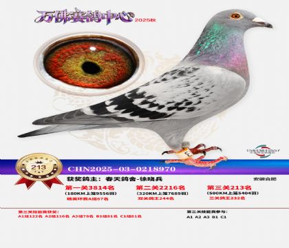 �����f��Qِ213��