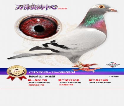 �����f��Qِ214��