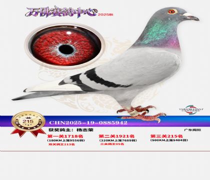 �����f��Qِ215��