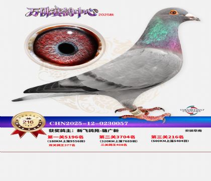 �����f��Qِ216��