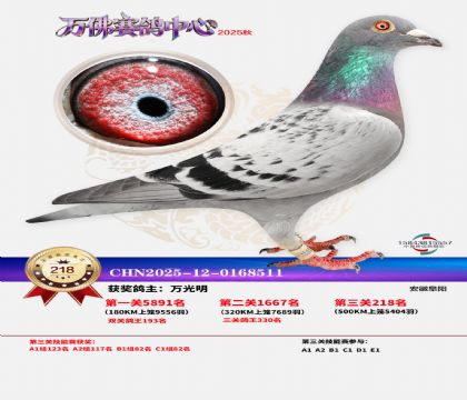 �����f��Qِ218��