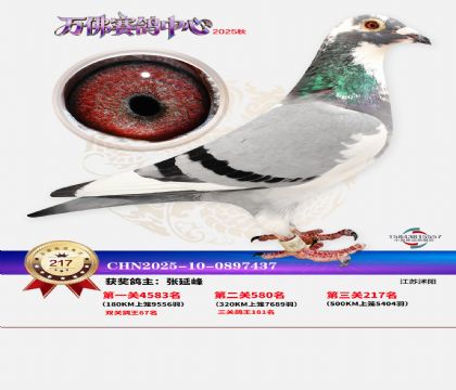 �����f��Qِ217��