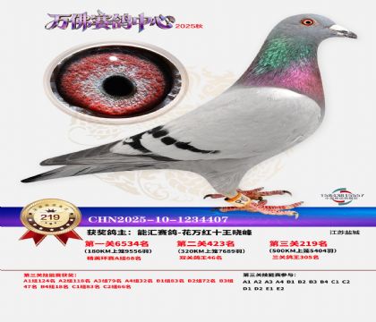 �����f��Qِ219��