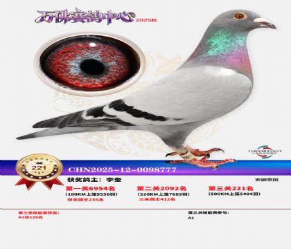 �����f��Qِ221��