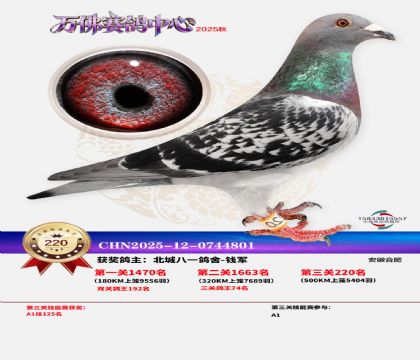 �����f��Qِ220��