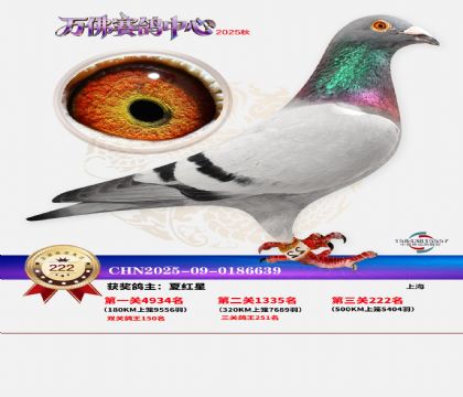 �����f��Qِ222��