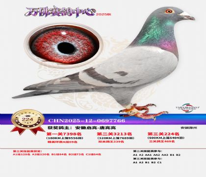 �����f��Qِ224��