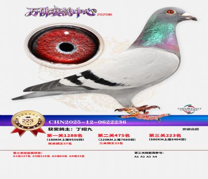 �����f��Qِ223��