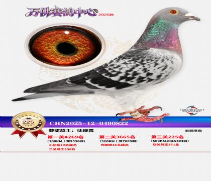 �����f��Qِ225��