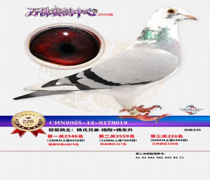 �����f��Qِ226��