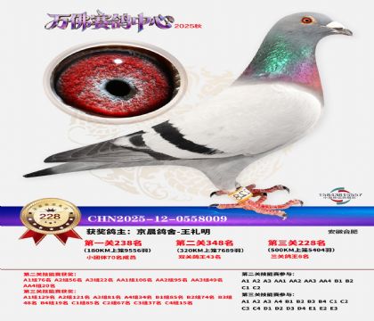 �����f��Qِ228��