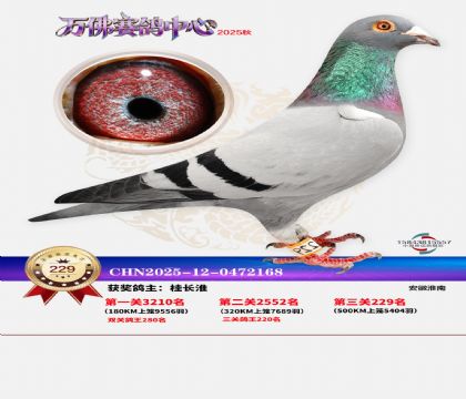 �����f��Qِ229��