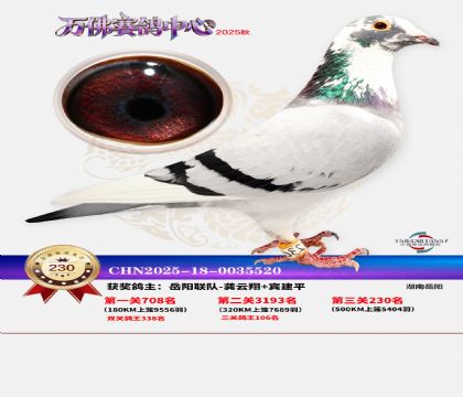 �����f��Qِ230��