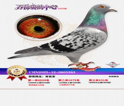 �����f��Qِ231��