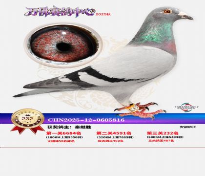 �����f��Qِ232��