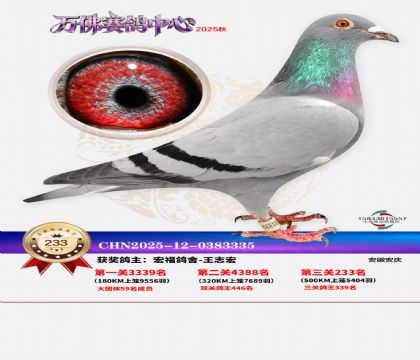 �����f��Qِ233��