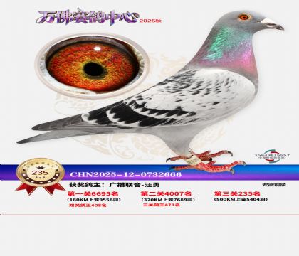 �����f��Qِ235��