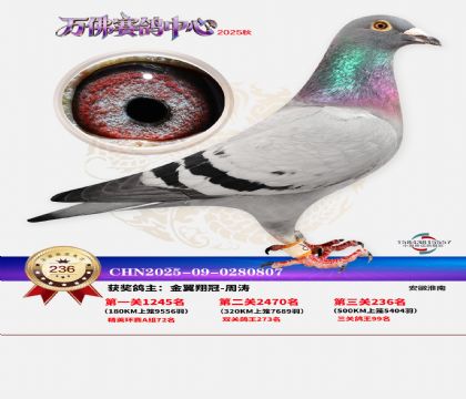 �����f��Qِ236��